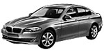 BMW F10 P20BF Fault Code
